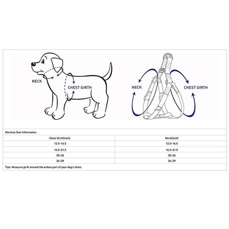 Factory Wholesale Lowest Price Sublimation Printing Dog Harness