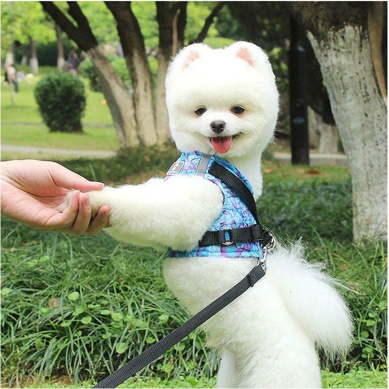 Pet Collar and Leash Reflective Dog Vest Type Traction Leash Collar Leash Rope Running Walking Safe Night Pet Products Harness