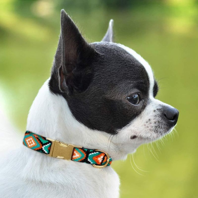 Nylon Dog Collar with Buckle Tribal Pattern