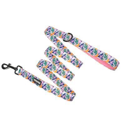2cm Customized Leash Custom Pattern Products Accessories Dog Harness Matching Lead Pet Supply