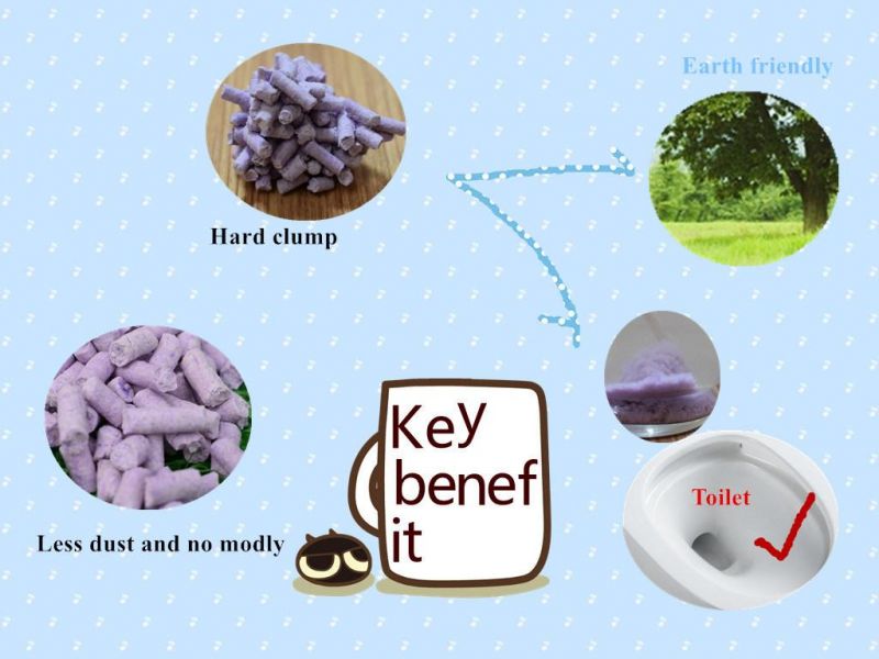 Nature Tofu Cat Litter Added Lavender Scent with Hard Clump