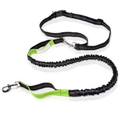Retractable Hands Free Dog Leash &ndash; Dual Handle Bungee Waist Leash for up to 150 Lbs Large Dogsby Paw Lifestyles