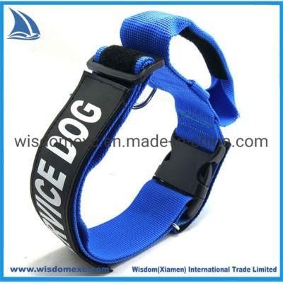 Stainless D Ring Collar Custom Logo 25mm Clip to Smart Best Collar
