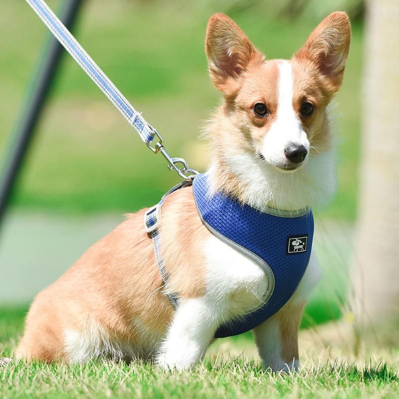 Pet Dog Training Leads Leash Breathable Dog Harness Pet Products Accessories