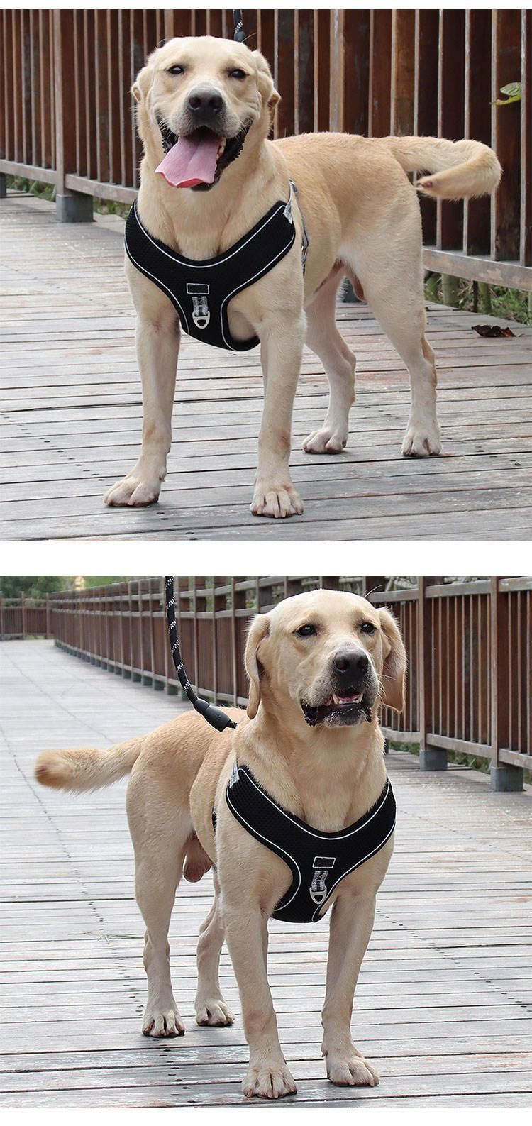 High Quality Plain Fabric Mesh Vest Pitbull Dog Body Harness and Leash
