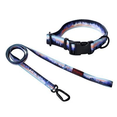 Soft Lightweight Comfortable Pattern Nylon Pet Dog Collar and Leash