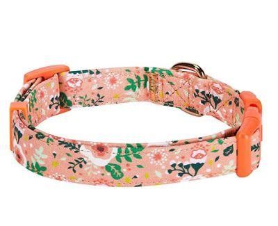 Hot Sale Sublimation Heat Transfer Polyester Webbing Custom Dog Collar