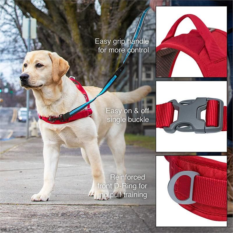 Easy Control Breathable Mesh Adjustable Walk Dog Harness, No Pull Training Harness for Dogs with Control Handle