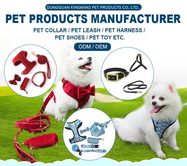 Eco Friendly Printing Dog Leash Harness