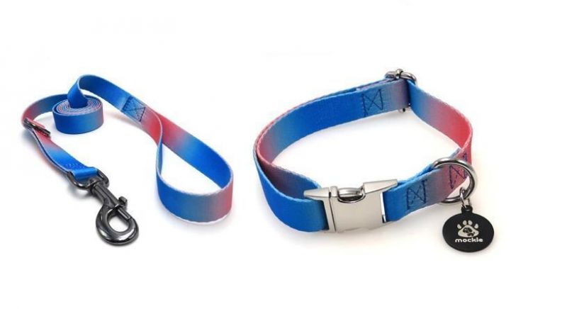Custom High Quality Soft Dog Training Collar Dog Collar Buckle Metal Retractable Pet Collar