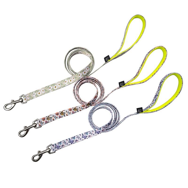Manufacturer Self-Design Pet Dog Leash Harness Thoracic Dorsal Rope Collars Sets
