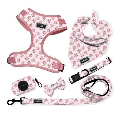 2022 Pet Supplier Neck Adjustable Custom Design Pet Harness Collar Leash Neoprene Dog Harness with Metal Buckle