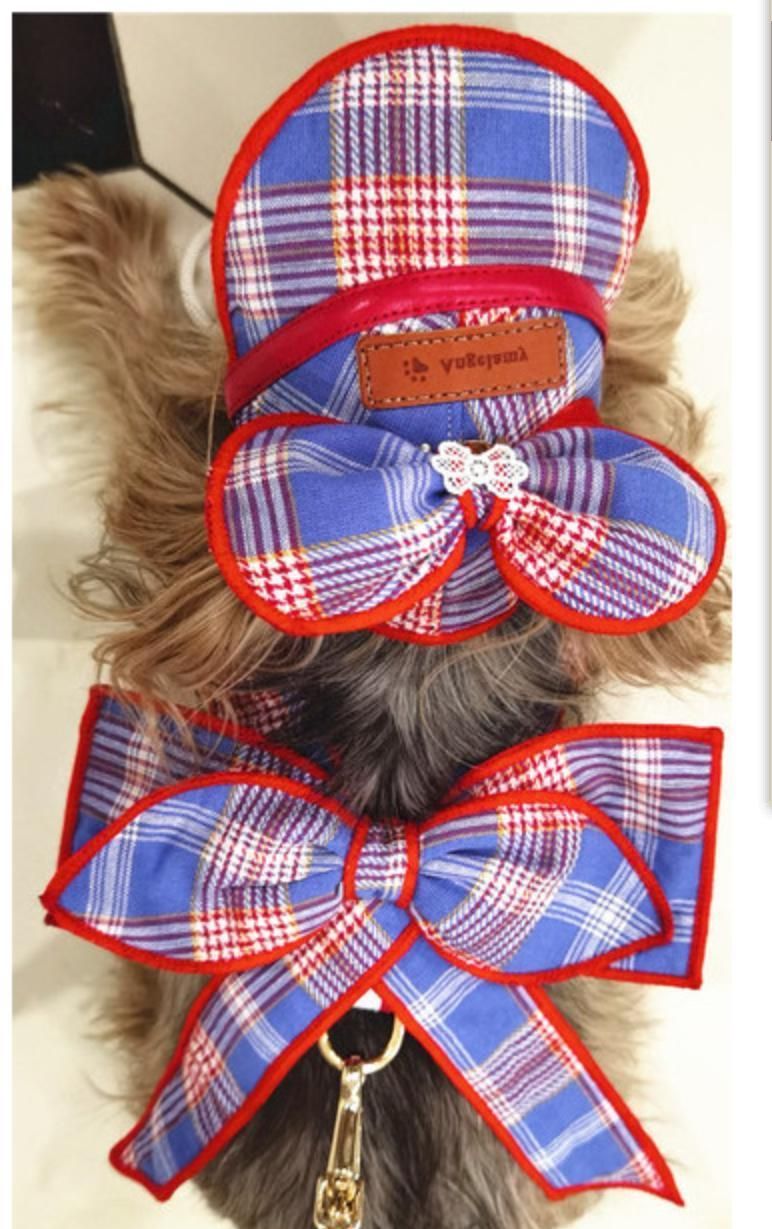 Design Dog Bowknot Collars Pup Leash Pet Harness with Lead
