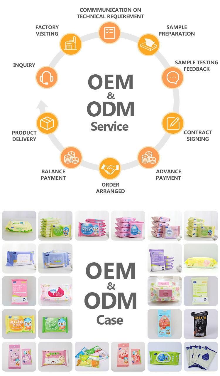 Private Label OEM Flushable Saline Aloe Vera Non Alcohol Dog Clean Deodorant Pet Wet Wipe