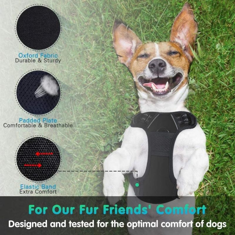 Walking Pet Harness with 2 Metal Rings and Handle
