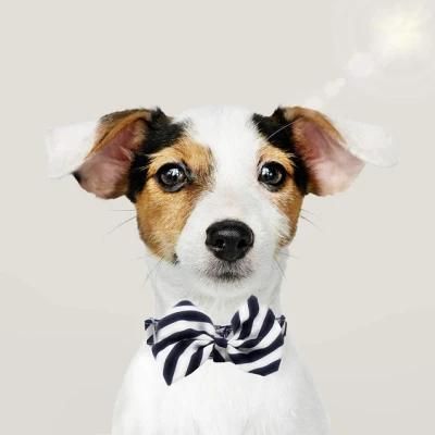 Dog Cool Bowtie Collar Best Dog and Cat Collars