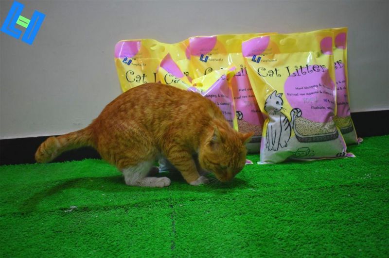 Good Quality Green Tea Tofu Cat Litter (YYLD02)