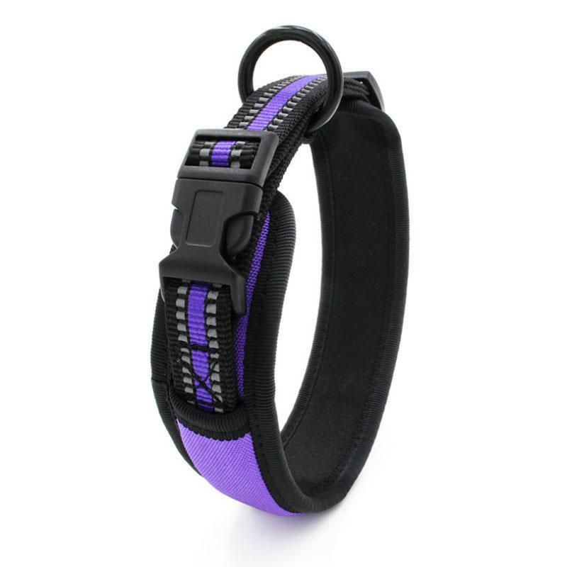 Good Quality Nylon Pet Collar with Soft Neoprene Lining Dog Collar