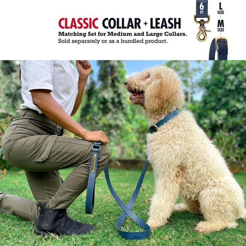 Sturdy Waterproof Dog Collar with Multiple Colors