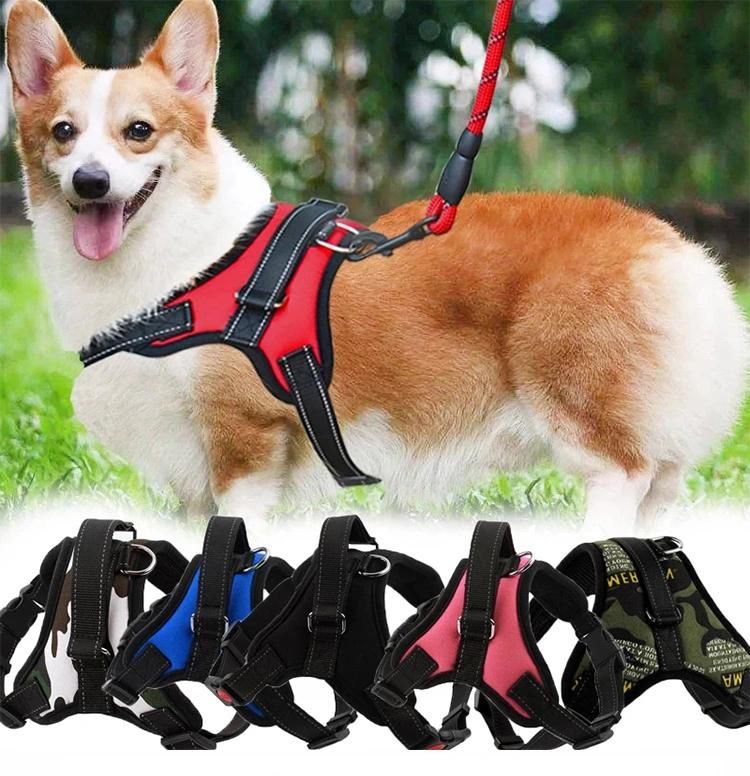 Factory Supply Comfortable Dog Harness No Pull Dog Leash