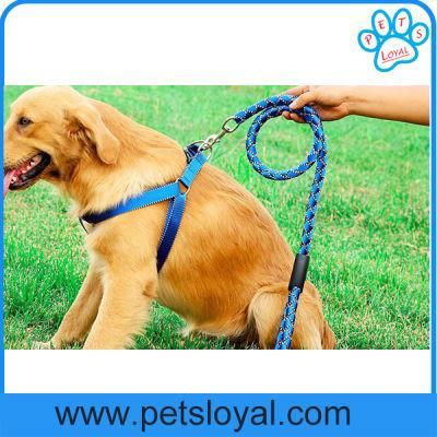 Factory Wholesale Cheap Nylon Colorful Pet Harness Dog Leash