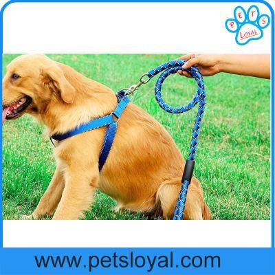 Factory Wholesale Cheap Nylon Colorful Pet Harness Dog Leash