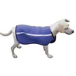 Customized Blue Neoprene Pet Supply Dog Clothes