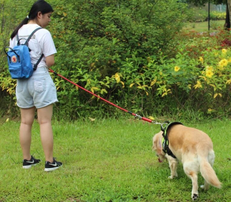 Dog Leash Shock Absorbing Spring Swing Extension Spring Tightening Springs