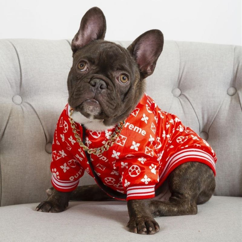 Fashion Luxury Logo Dog Coat Teddy Cotton Warm Popular Dog Apparel Winter Pet Jacket