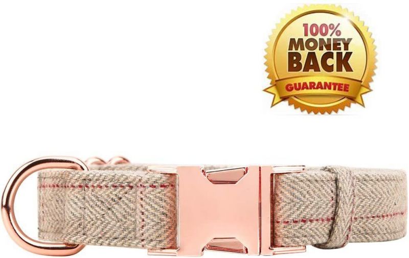 Dog Collar with Rose Gold 6 Foot Exceptionally Elegant Design and Adjustable in 3 Different Lengths Leash