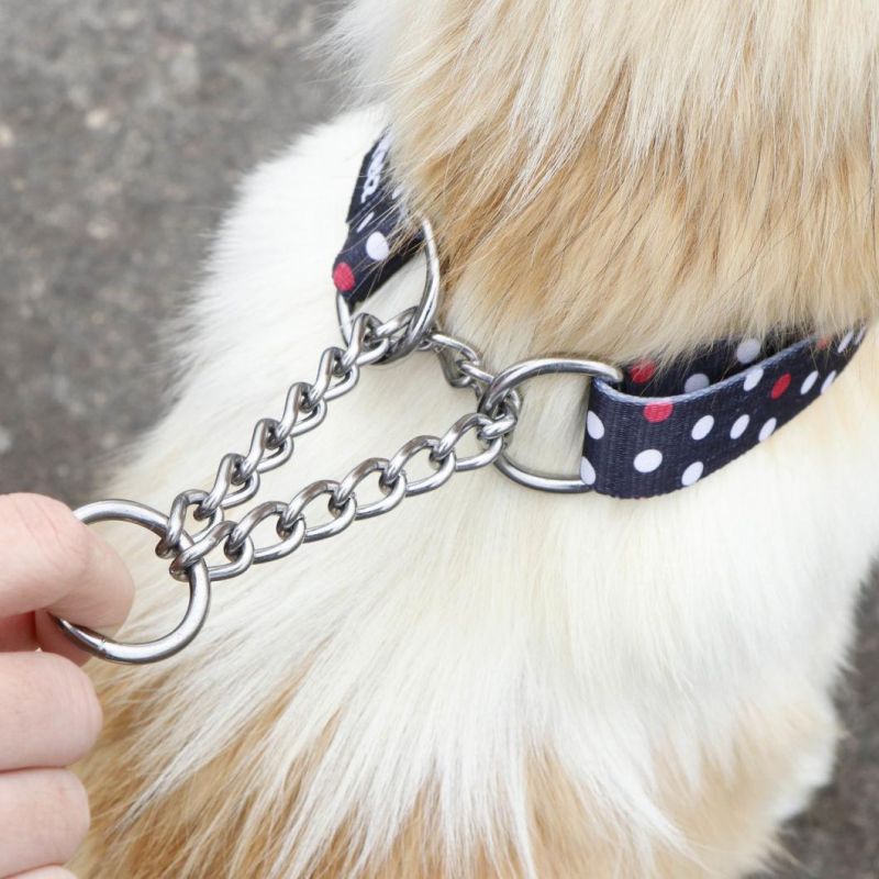 Manufacturers Wholesale Pet Dog Collar for Small Large Dog