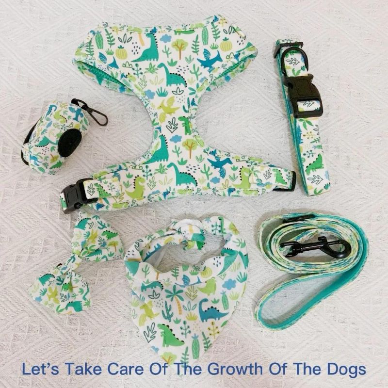 Hot Selling Cute Reversible Soft Mesh Dog Harness Custom Logo Printing Dog Harness Set with Pet Collar Leash Dog Poop Bag