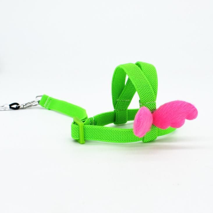 Light Release Traction Rope Peony Mystery Wind Small Sun Walking Bird Release Rope Parrot Flying Harness Rope Pet Item