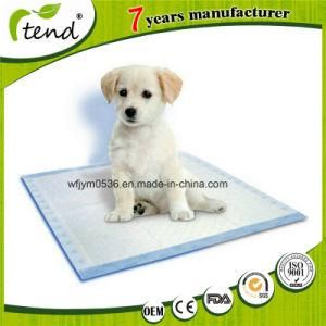 Environmental Puppy Training Pad Manufacture and Exporter
