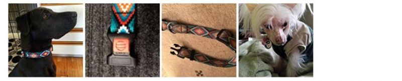 Nylon Dog Collar with Buckle Tribal Pattern