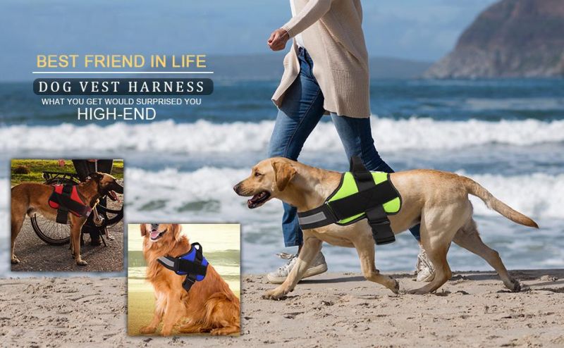 Outdoor Breathable Adjustable Pet Harness