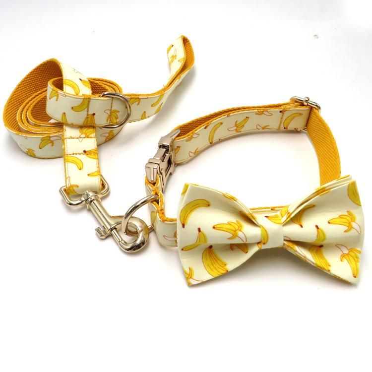 Eco-Friendly Pet Accessories Supplies Print Adjustable Luxury Nylon Dog Collar and Leash Set