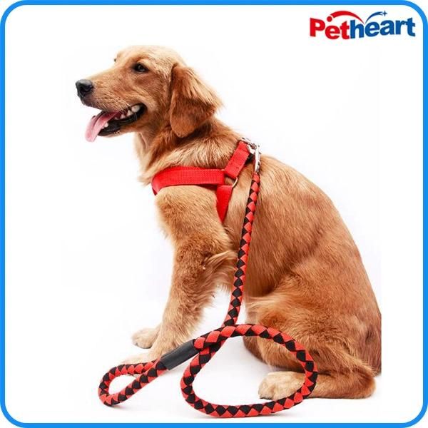 Factory Price Pet Puppy Dog Nylon Pet Collar (HP-107)