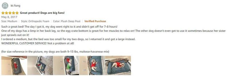 Best Dog Beds Dog Couch Available in Multiple Colors & Styles