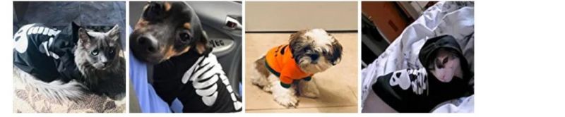 Pet Dog Cat Halloween Pumpkin Hoodies Funny Puppy Kitten Costume