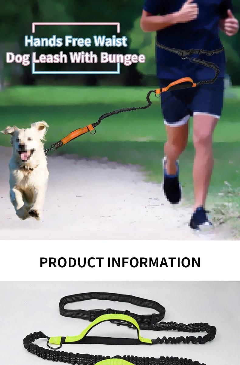 New Style Shock-Absorbing Bungee with Reflective Stitching Soft and Skin-Friendly Dog Lead Pet Leashes