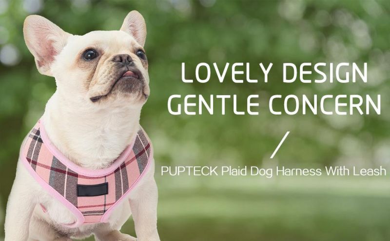 Soft Mesh Dog Harness Pet Puppy Comfort Padded Vest No Pull Harnesses