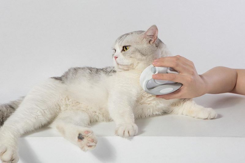 Hot Sale Pet Grooming Cat Slicker Brush Dog Pet Massage Comb