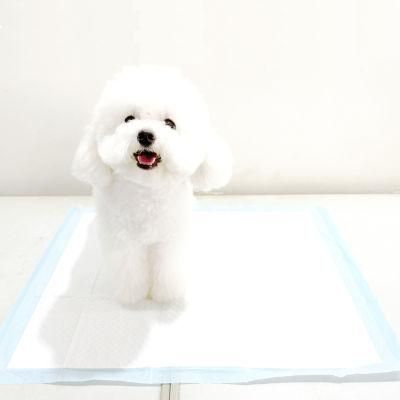 Leak-Free Biodegradable Pet Pads for Dog&Cat