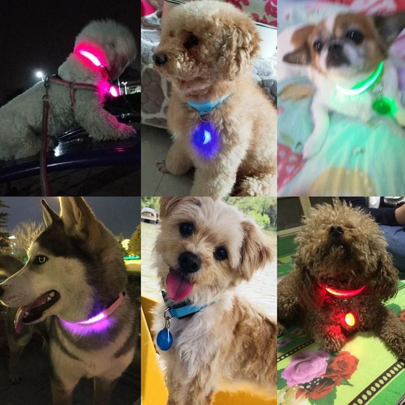 USB Rechargeable Dog Cat Pet Collar with Stainless Steel Carabiner