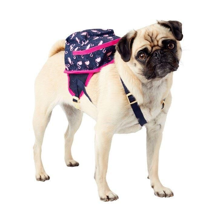 New Design Dog Backpack Harness