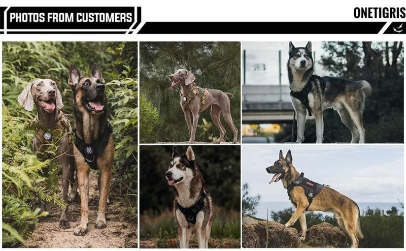 Wholesale Custom Tactical Belay Dog Harness for Large Medium Dogs No Pull Reflective Tactical Dog Harness