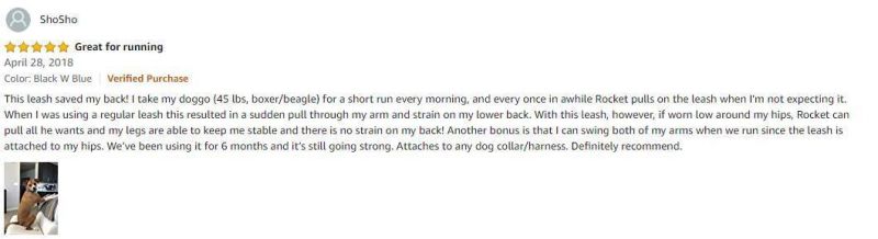 Dual-Handle Reflective Bungee Hands Free Dog Leash for Running Walking Training Hiking