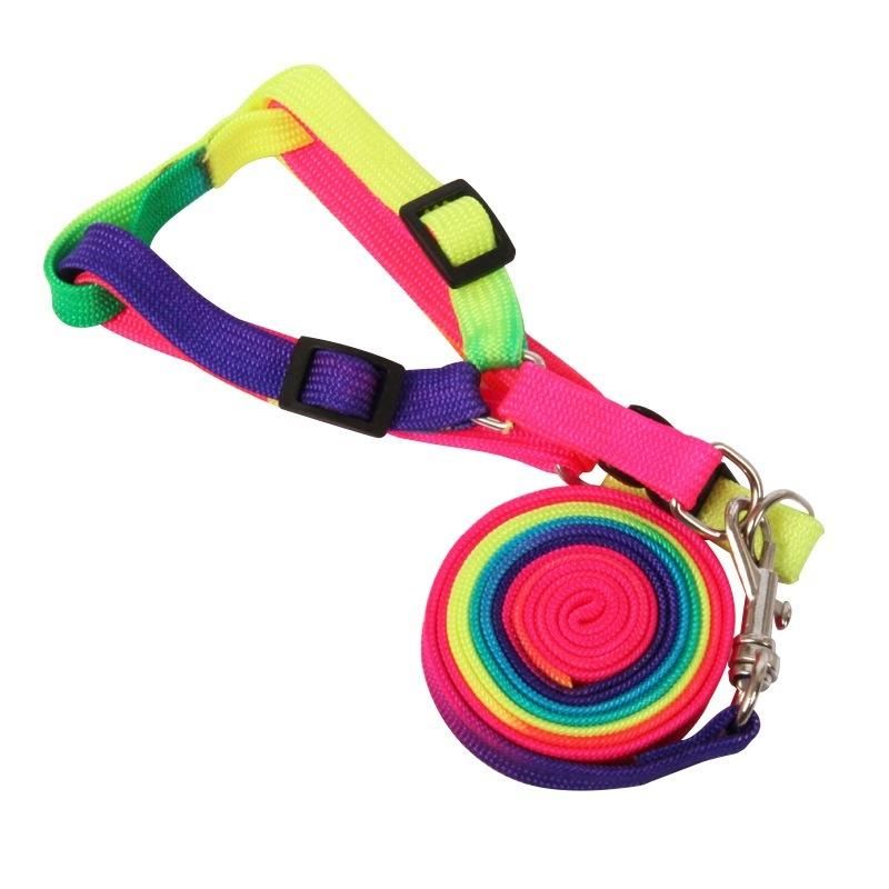 Rainbow Color Leash for Small Pet Teddy