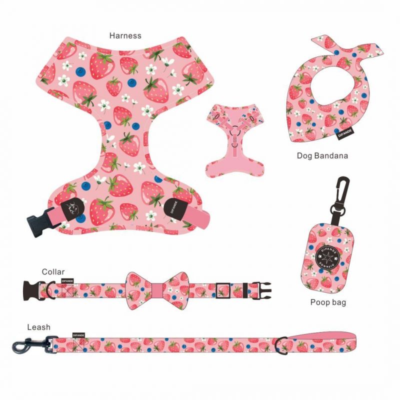 Classical Fruit Soft Padded Dog Collar and Leash for Pet Cat Dog Leash Collar Set